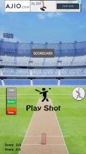 Book Cricket 2截图5