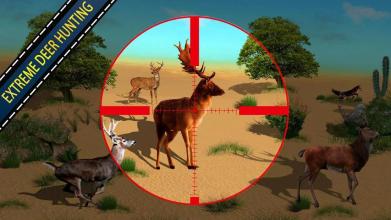 Deer Hunter & Archery Master 2018截图2