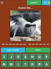 Animals Quiz Jungle截图4