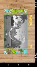 Dinosaurs puzzles & jigsaw截图2