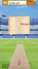 Book Cricket 2截图4