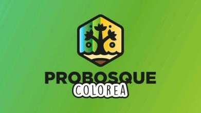 Probosque - Colorea: Presas de Gavión截图3