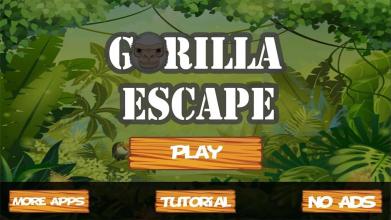 Gorilla Escape截图5