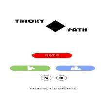 Tricky Path截图2