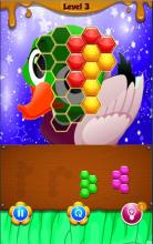 Duck Hexagon Block Puzzle截图2