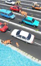 Animal Pets Traffic Highway Cross截图5