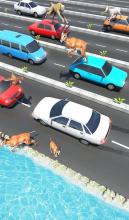 Animal Pets Traffic Highway Cross截图2