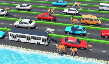 Animal Pets Traffic Highway Cross截图3