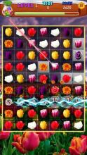 Tulip Flowers Blast - Best Flower Crush Game截图3