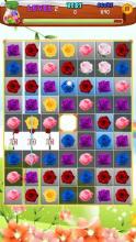 Rose Garden Flowers - New Flower Blast Game截图4