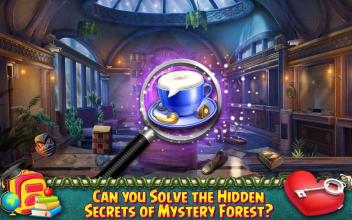 Hidden Object Games 200 Levels : Mystery Forest截图5