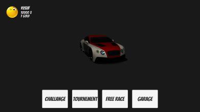 Rally Challenge截图2