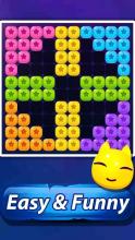 Star Puzzle - Block Puzzle Game截图3