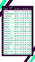 English First Division Football Simulator截图2