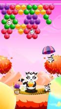 Cat Bubble Blast截图5