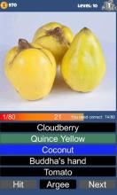 Fruits Quiz DC截图1