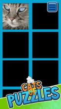 Cats of Puzzles: Free Sliding Puzzle Game截图1