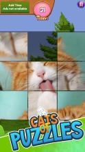 Cats of Puzzles: Free Sliding Puzzle Game截图4