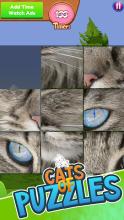 Cats of Puzzles: Free Sliding Puzzle Game截图2