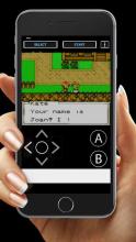 Harvest in Moon : Farmers截图3