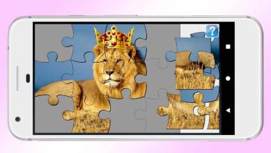 The Lion King and Animals Puzzle截图3