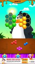 Penguin Hexa Puzzle截图3