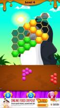 Penguin Hexa Puzzle截图1