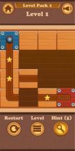 Unblock Ball - Block Puzzle Slide截图5