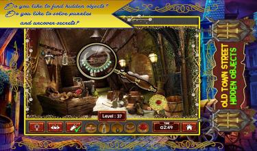 Hidden Object Games 100 levels截图2