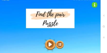 Find The Pair Puzzle截图4