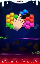 Hive Mania Puzzle截图5