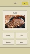 World Food Quiz截图2