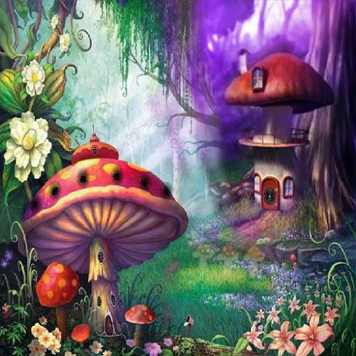 Amanita Mushroom Forest Escape截图2