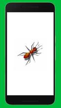 Ant Smasher-Kill the ant, mosquito and ghosts截图4