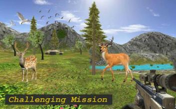 Forest Deer Hunting Season 2017截图2