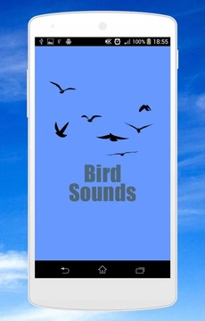 鸟声音截图