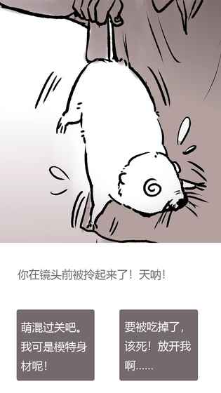 竹鼠活下去2截图4