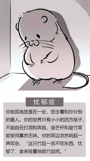 竹鼠活下去2截图5