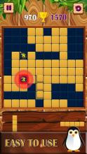 Wood Block Puzzle - Fun Block截图2