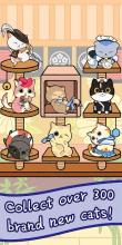 cats home截图2