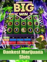 Lucky Weed – Free slots截图2