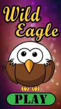 Wild Eagle截图3