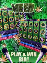 Lucky Weed – Free slots截图1