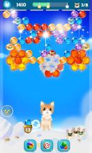 Kitten Bubble截图3