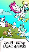 Pigeon Evolution - Merge & Create Mutant Birds截图5