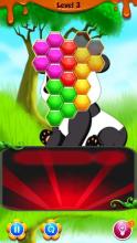 Panda Hexa Puzzle Mania截图2