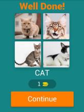 Animals quiz :Guess the animal name截图2