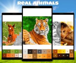Animals Color by Number: Animal Pixel Art截图2
