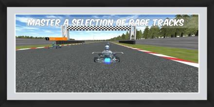 Formula Karting截图2