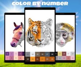 Animals Color by Number: Animal Pixel Art截图4